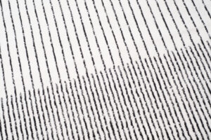 Tapis Juno Moderne Géométrique Rayures Cercle Noir Gris Crème Fin