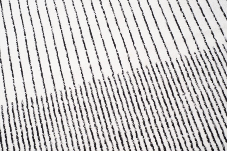 Tapis Juno Moderne Géométrique Rayures Cercle Noir Gris Crème Fin