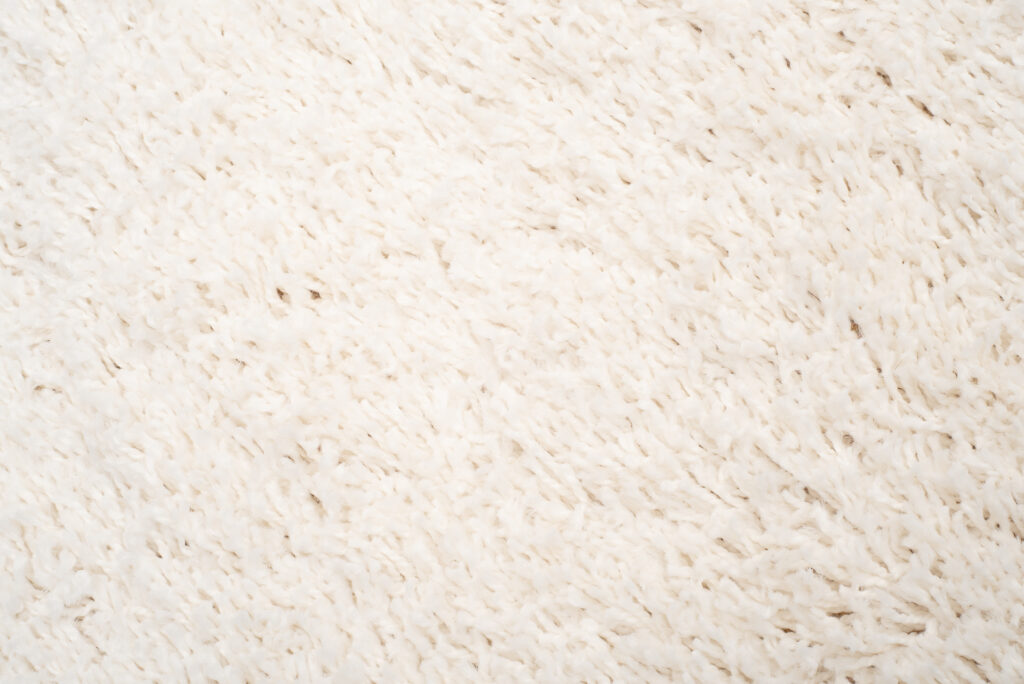 Tapis Boho à Franges Crème Shaggy