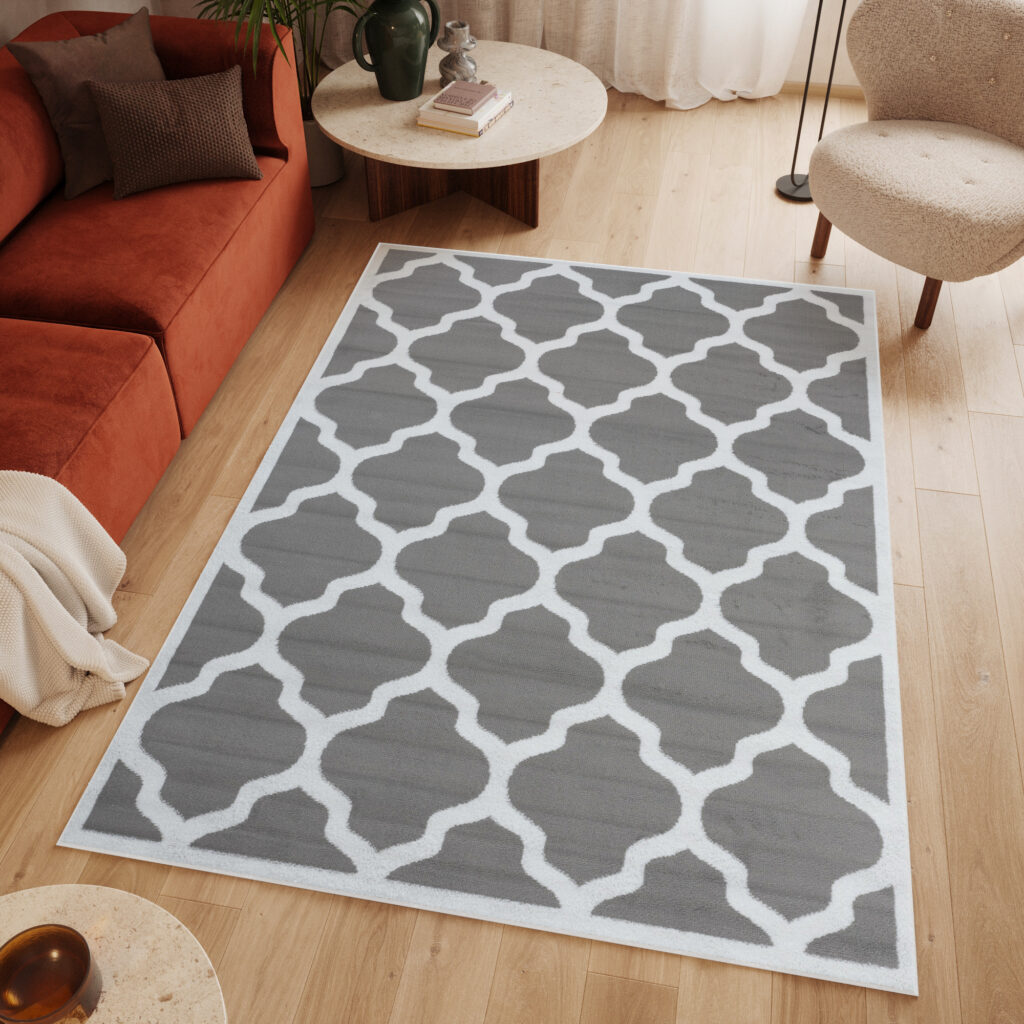 Tapis Luxury Gris Blanc Géométrique Treillis Bordé