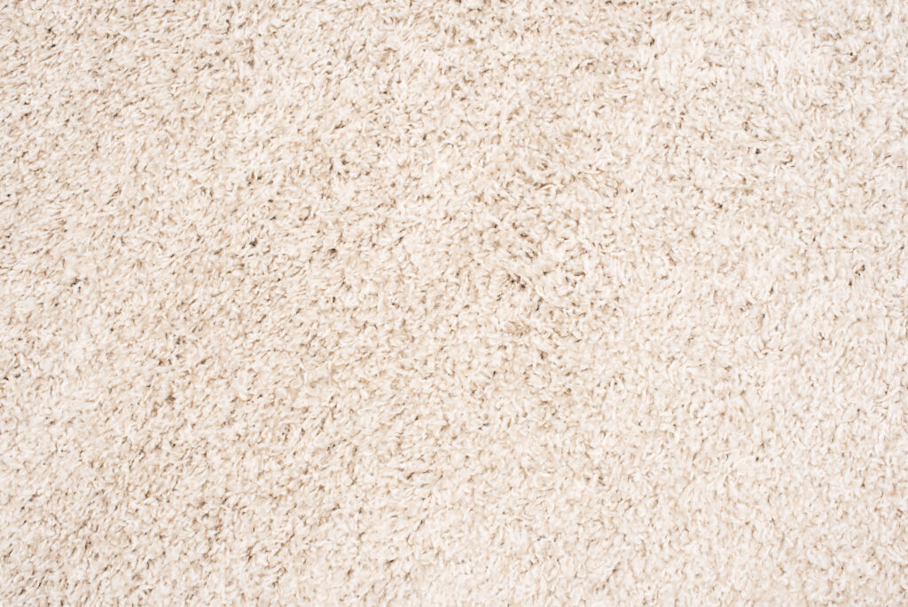Tapis Essence Carré Shaggy Beige Clair