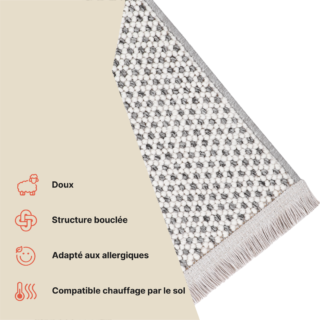 Tapis Agra Gris Moderne à Franges