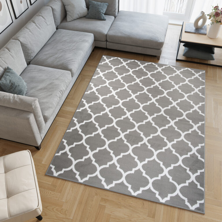 Tapis Firet Moderne Marocain Treillis Gris Blanc Fin