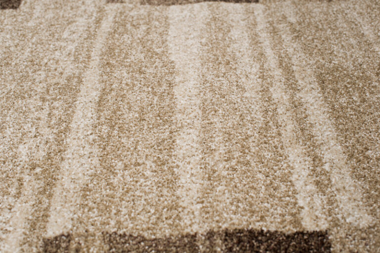 Tapis de couloir Sari Beige Marron Cadre