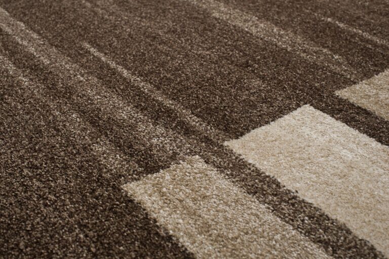 Tapis Sari Marron Cadre