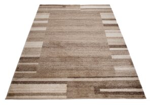Tapis Sari Beige Foncé Cadre