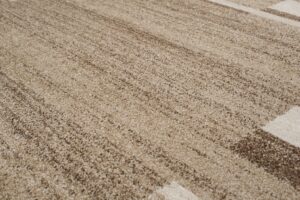 Tapis Sari Beige Foncé Cadre