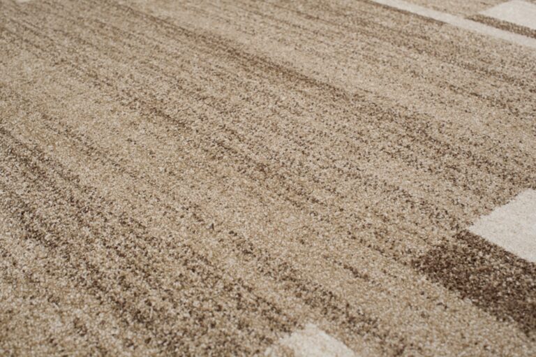 Tapis Sari Beige Foncé Cadre