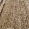 Tapis Sari Beige Foncé Cadre