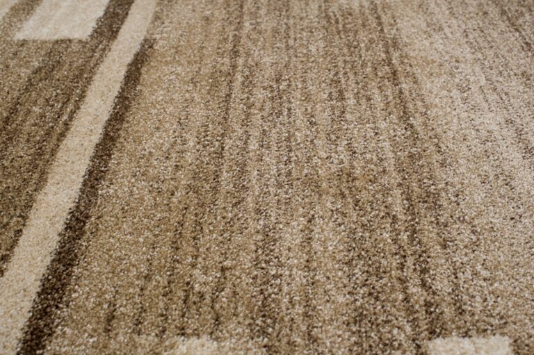 Tapis Sari Beige Foncé Cadre