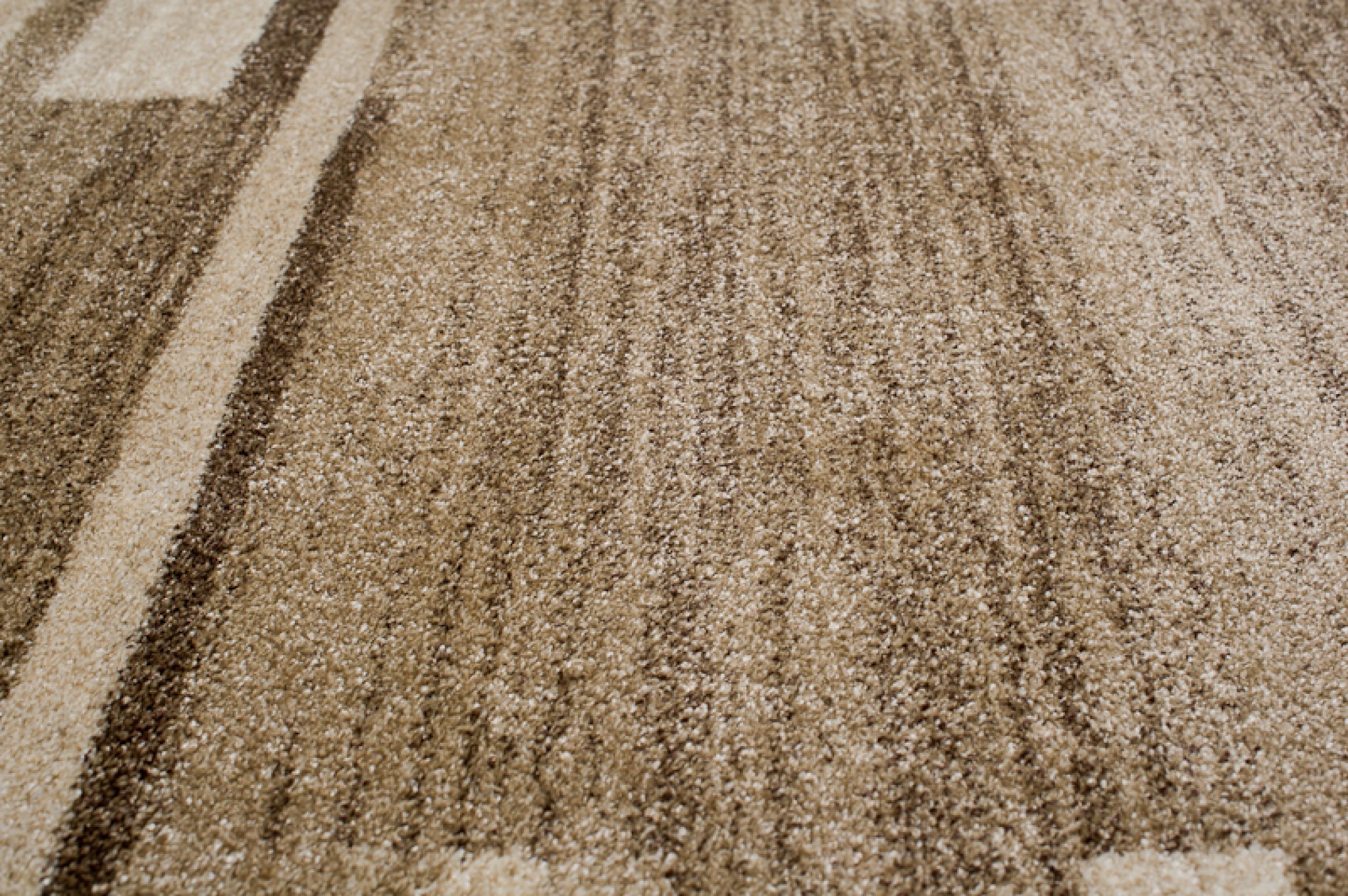 Tapis Sari Beige Foncé Cadre