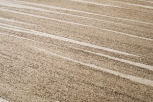 Tapis Sari Beige Foncé Rayé