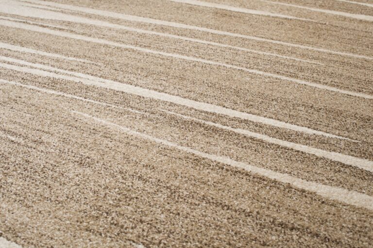 Tapis Sari Beige Foncé Rayé