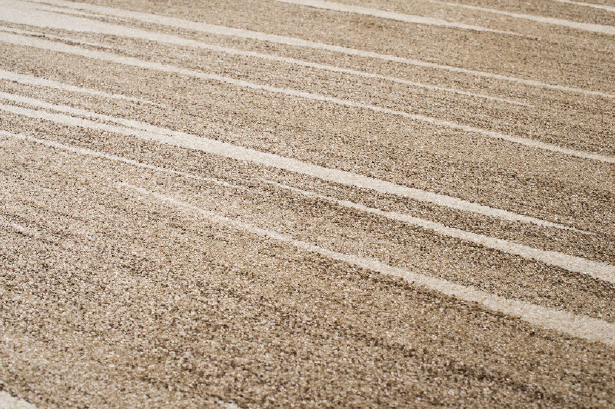 Tapis Sari Beige Foncé Rayé