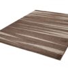 Tapis Sari Marron Beige Rayé