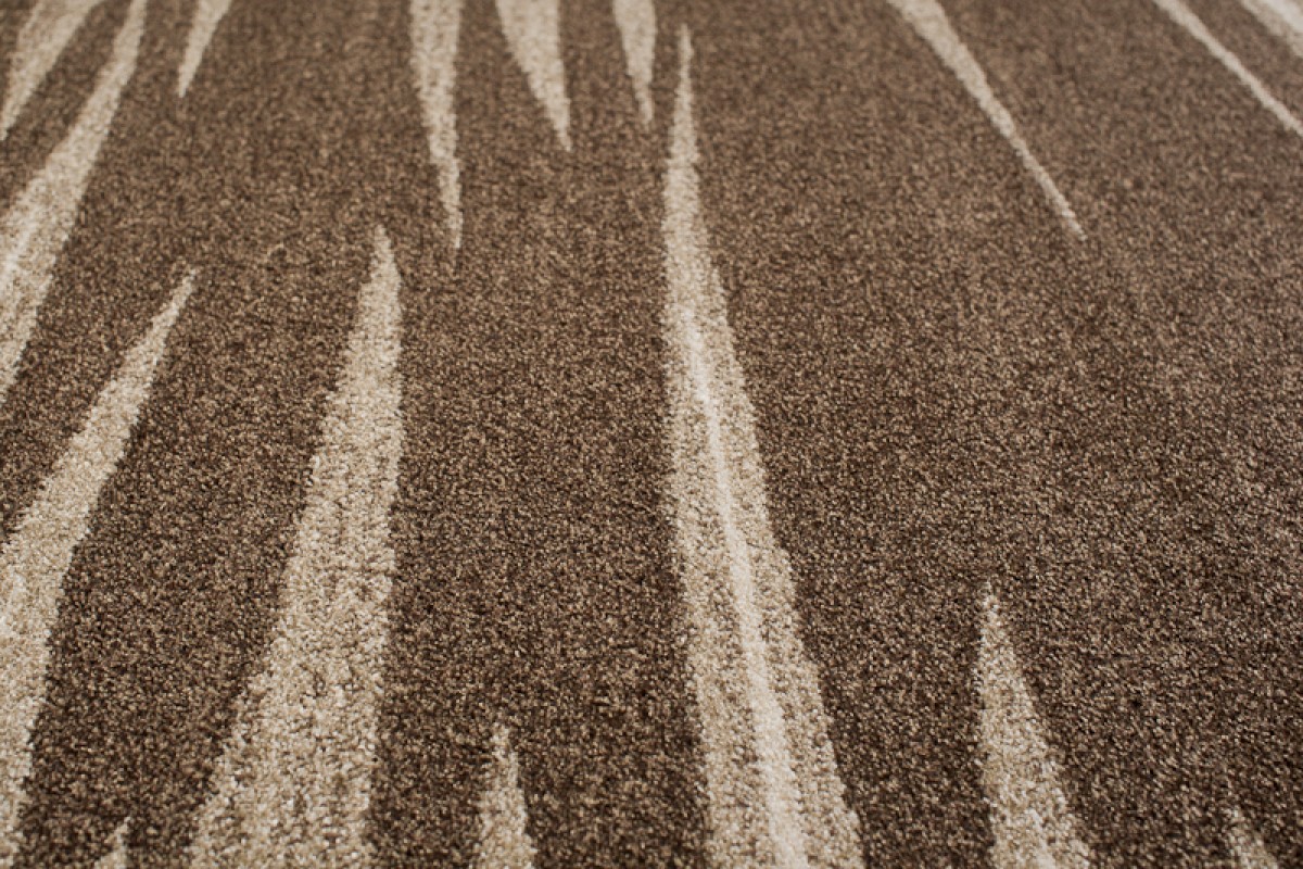 Tapis Sari Marron Beige Rayé