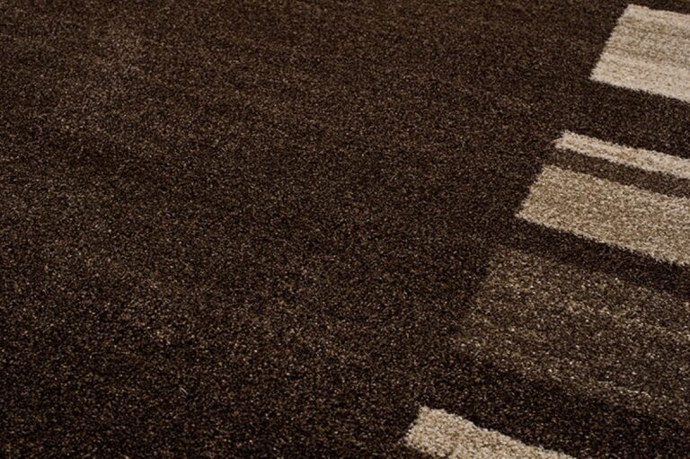 Tapis Sari Marron Foncé Cadre