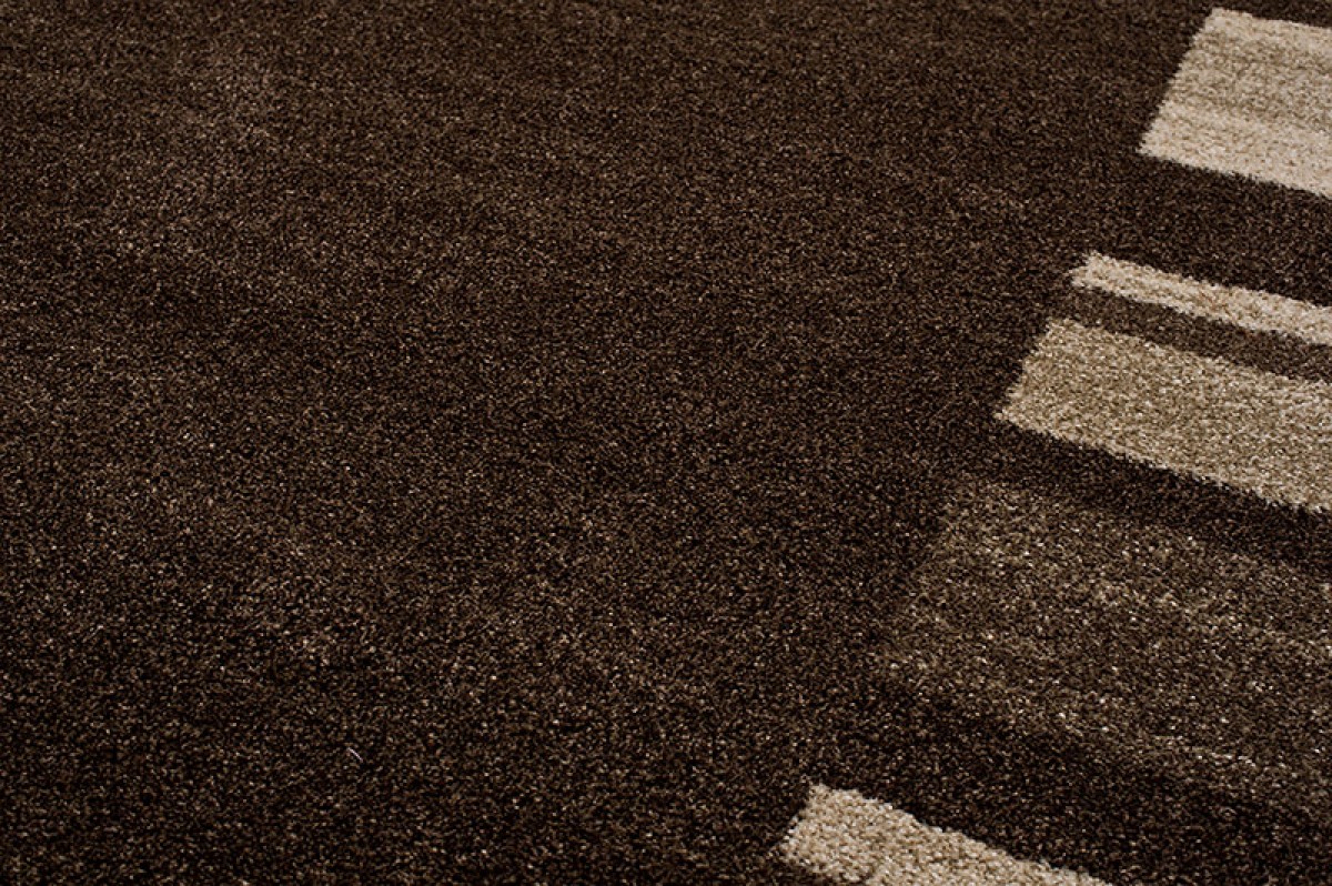 Tapis Sari Marron Foncé Cadre