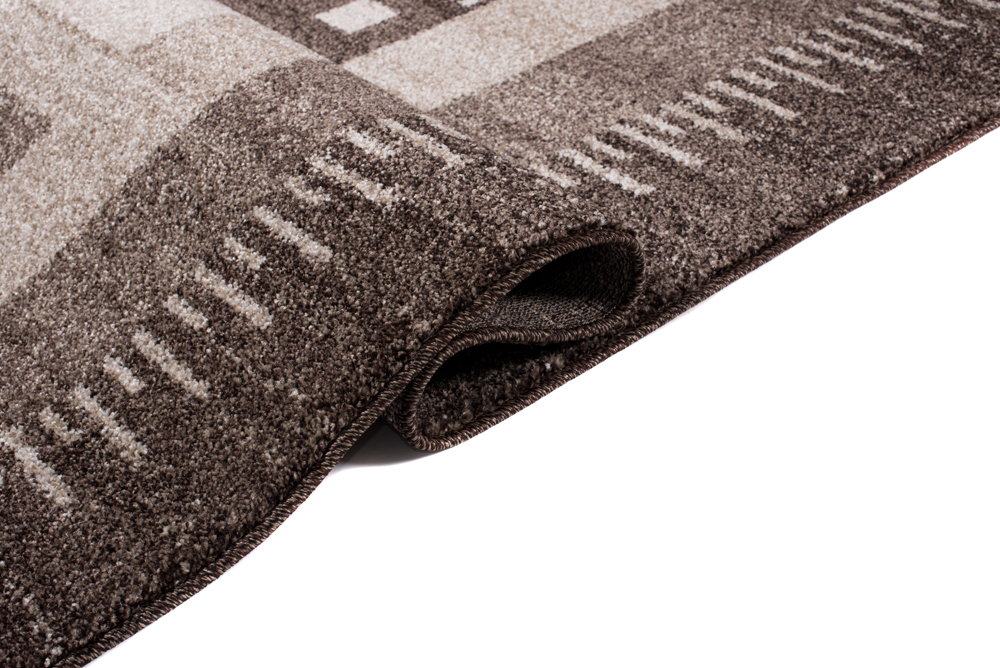 Tapis Sari Marron Ethnique Cadre