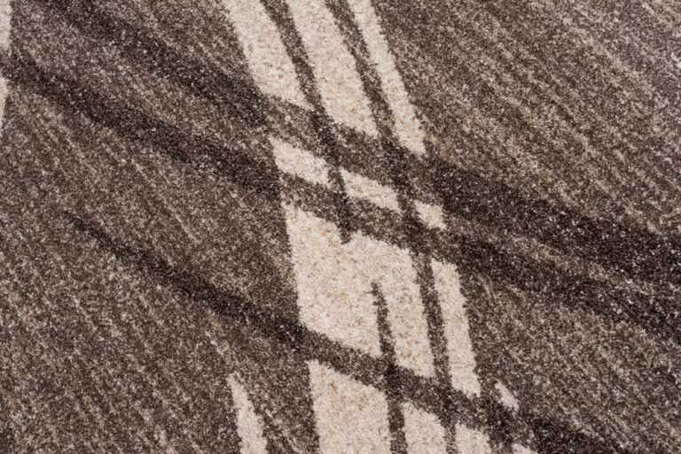 Tapis Sari Marron Clair Rayé