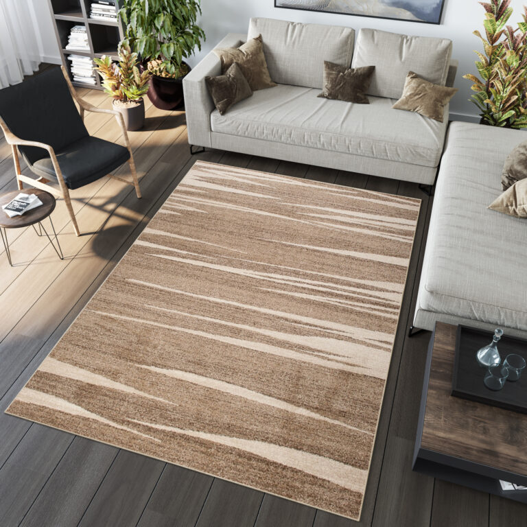 Tapis Sari Beige Foncé Rayé