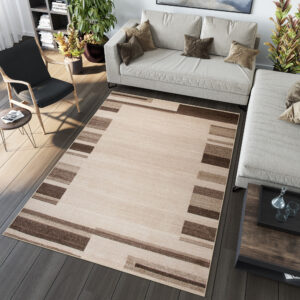 Tapis Sari Beige Marron Cadre