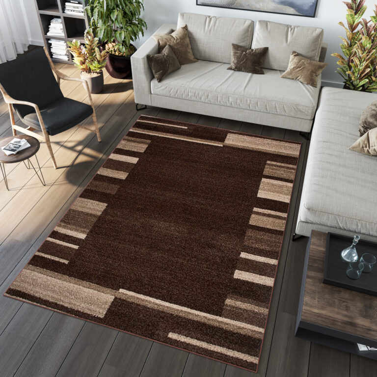 Tapis Sari Marron Foncé Cadre