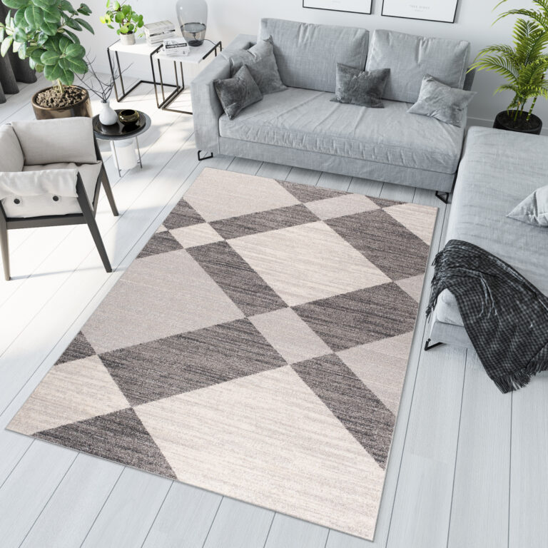 Tapis Sari Gris Crème Géométrique