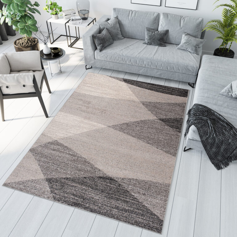 Tapis Sari Gris Beige Géométrique