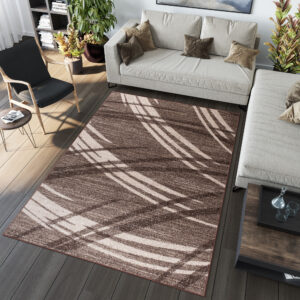 Tapis Sari Marron Clair Rayé