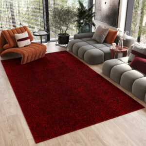 Tapis Noyan Rouge Moderne Antidérapant
