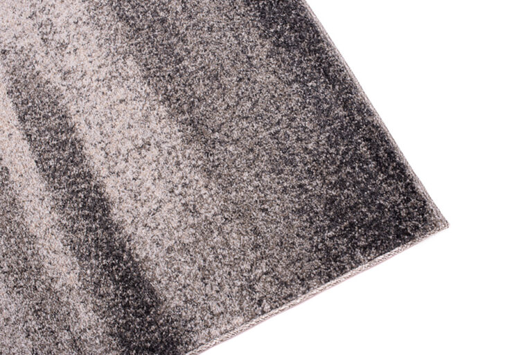 Tapis Sari Gris Abstrait