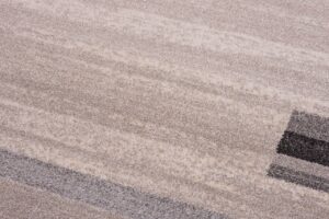 Tapis Sari Beige Clair Gris Cadre