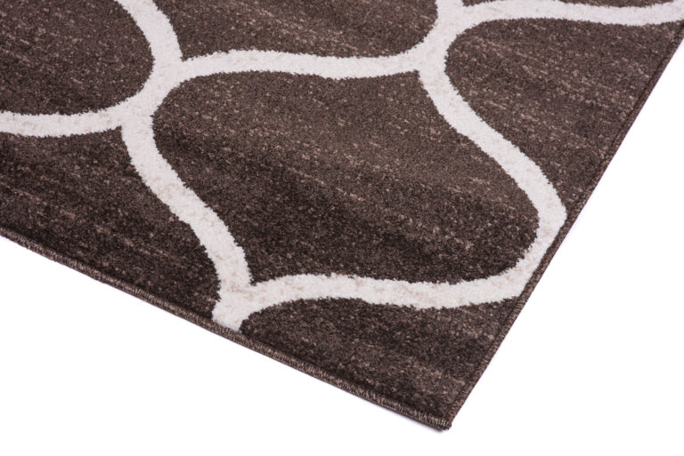 Tapis Sari Marron Treillis