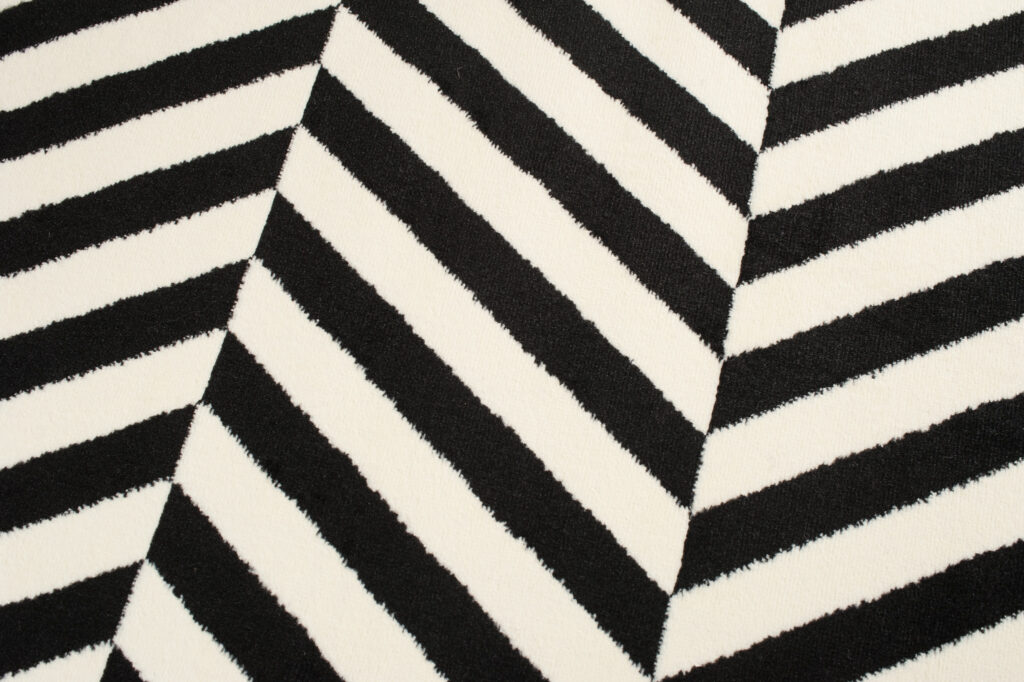 DREAM Tapis Moderne Optique Rayures Noir Blanc Fin