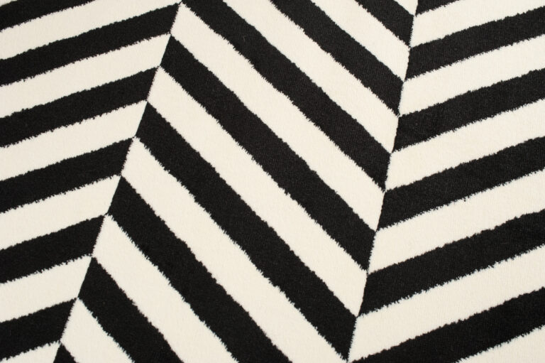 DREAM Tapis Moderne Optique Rayures Noir Blanc Fin