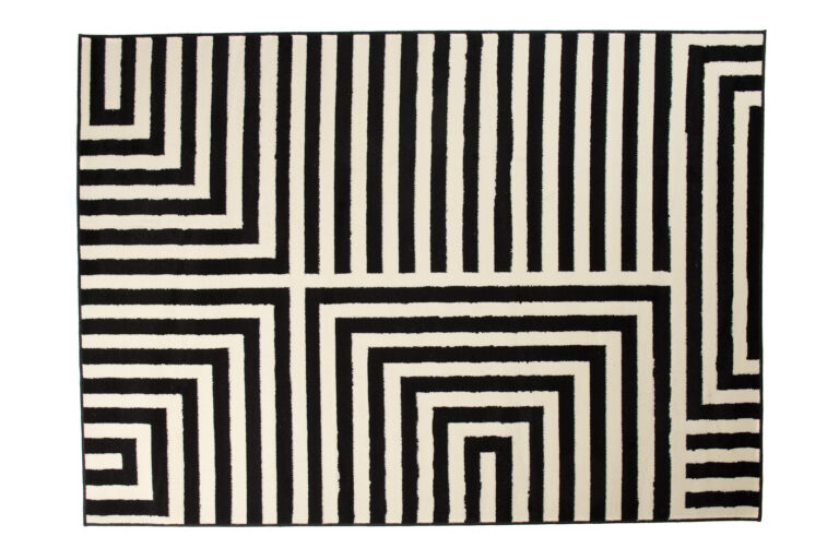 DREAM Tapis Moderne Optique Rayures Géométrique Noir Blanc Fin