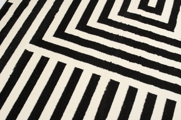DREAM Tapis Moderne Optique Rayures Géométrique Noir Blanc Fin
