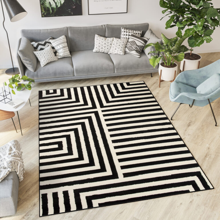 DREAM Tapis Moderne Optique Rayures Géométrique Noir Blanc Fin