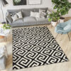 DREAM Tapis Moderne Optique Géométrique Noir Blanc Fin
