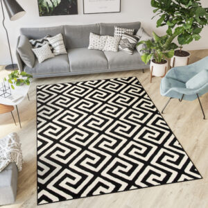DREAM Tapis Moderne Optique Géométrique Noir Blanc Fin