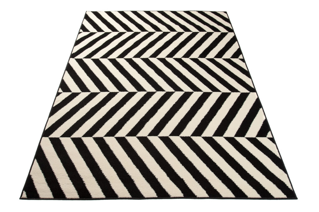 DREAM Tapis Moderne Optique Rayures Noir Blanc Fin