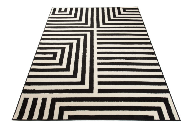 DREAM Tapis Moderne Optique Rayures Géométrique Noir Blanc Fin
