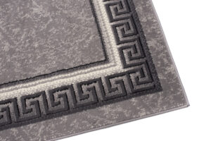 DREAM Tapis Moderne Bordure Fenêtre Fleur Gris Clair Fin