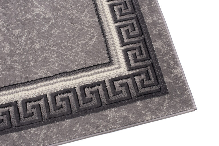 DREAM Tapis Moderne Bordure Fenêtre Fleur Gris Clair Fin