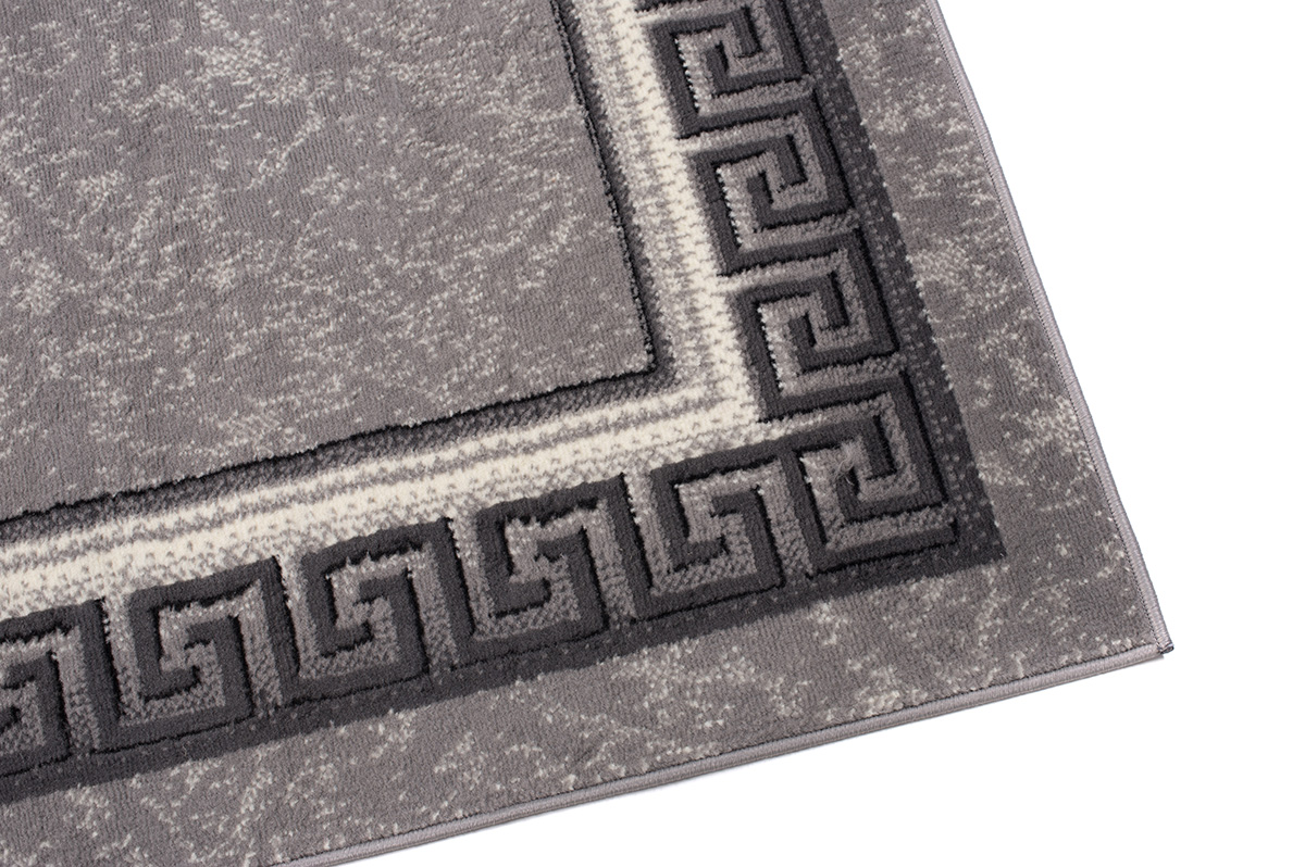 DREAM Tapis Moderne Bordure Fenêtre Fleur Gris Clair Fin