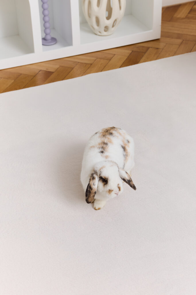 Tapis Lumi Carré Crème Antidérapant