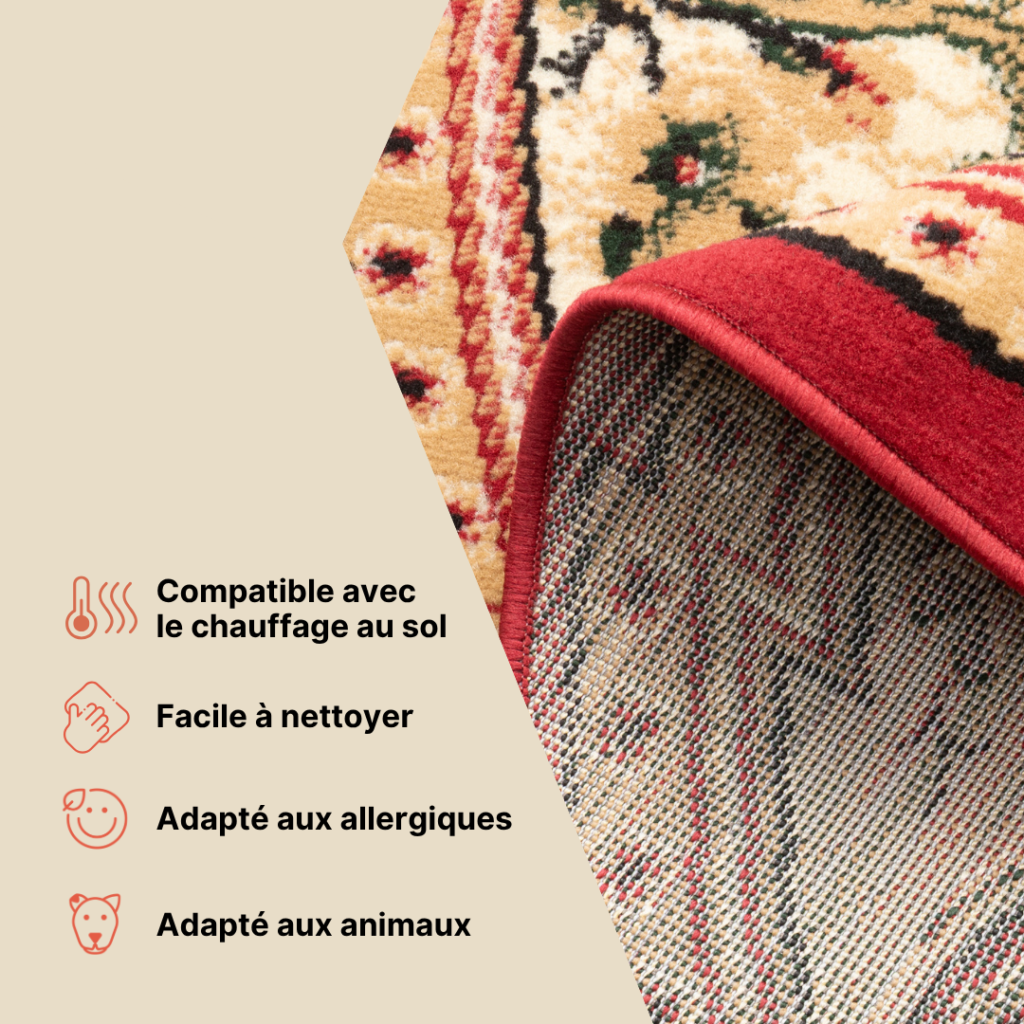 Tapis Atlas Ovale Rouge Beige Traditionnel Médaillon