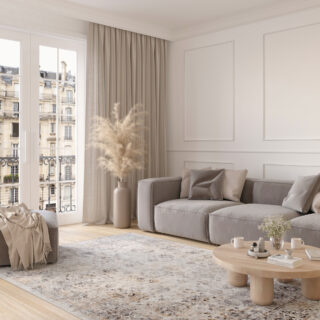 Tapis Valley Gris Beige Ornamental Bordure