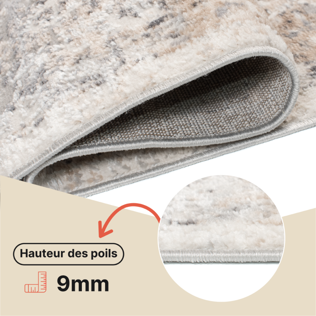 Tapis Valley Gris Beige Ornamental Bordure
